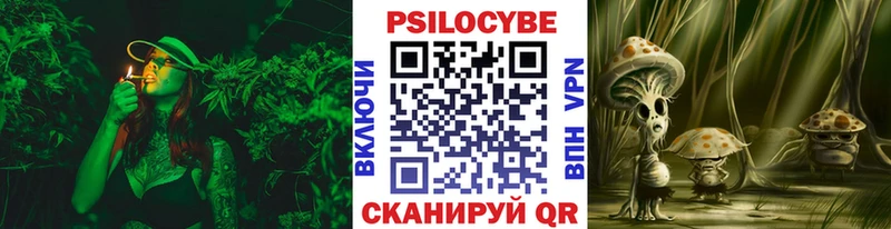 купить наркоту  Невельск  Галлюциногенные грибы Psilocybe 